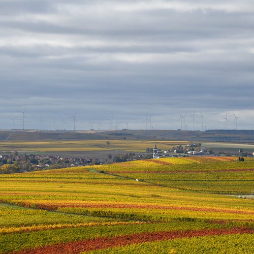 Weingut Becker Landgraf – Hier in Gau Odernheim sind wir zuhause (Foto: Helmut Becker)