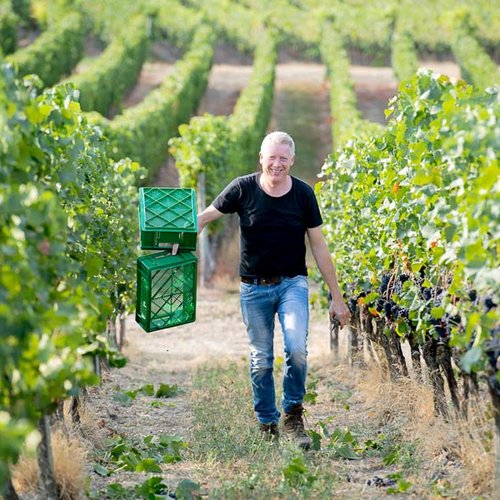 Gut gelaunter Winzer im Weinberg (Nathalie Zimmermann Fotografie)