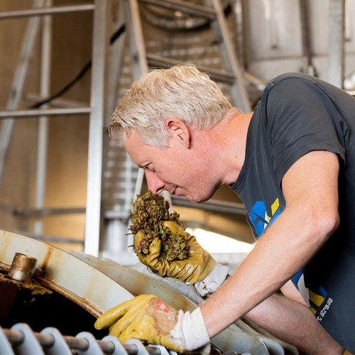 Johannes prüft das Lesegut an der Weinkelter (Nathalie Zimmermann Fotografie)